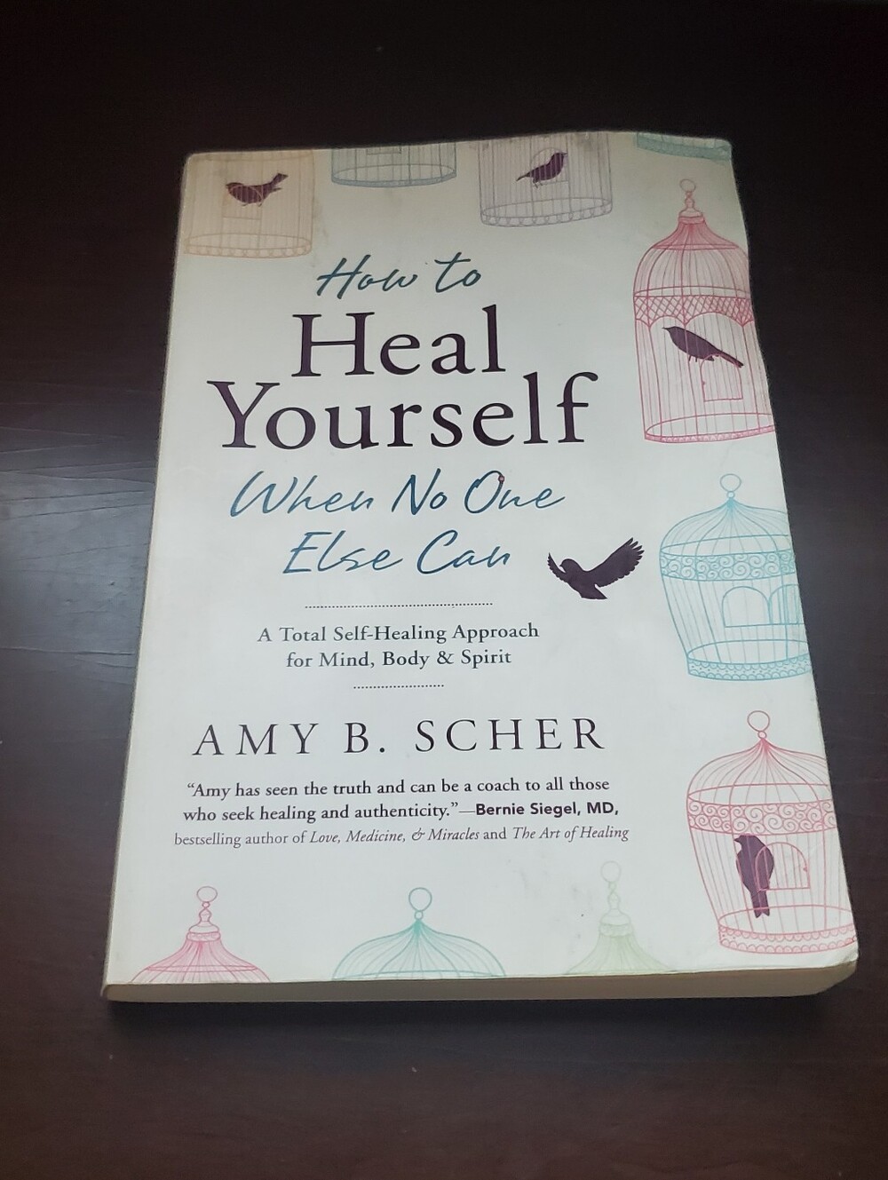 How to Heal Yourself When No One Else Can Amy Scher Paperback Preowned